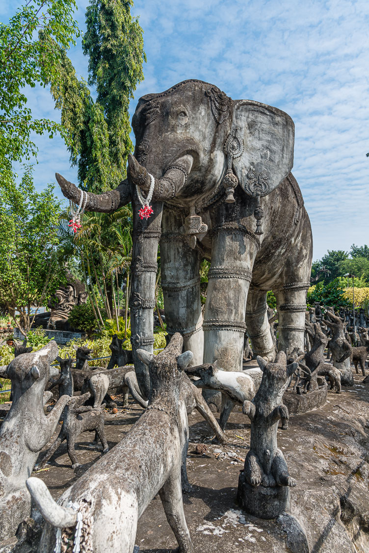 TL162190-Elephant-attacked-by-dogs.jpg