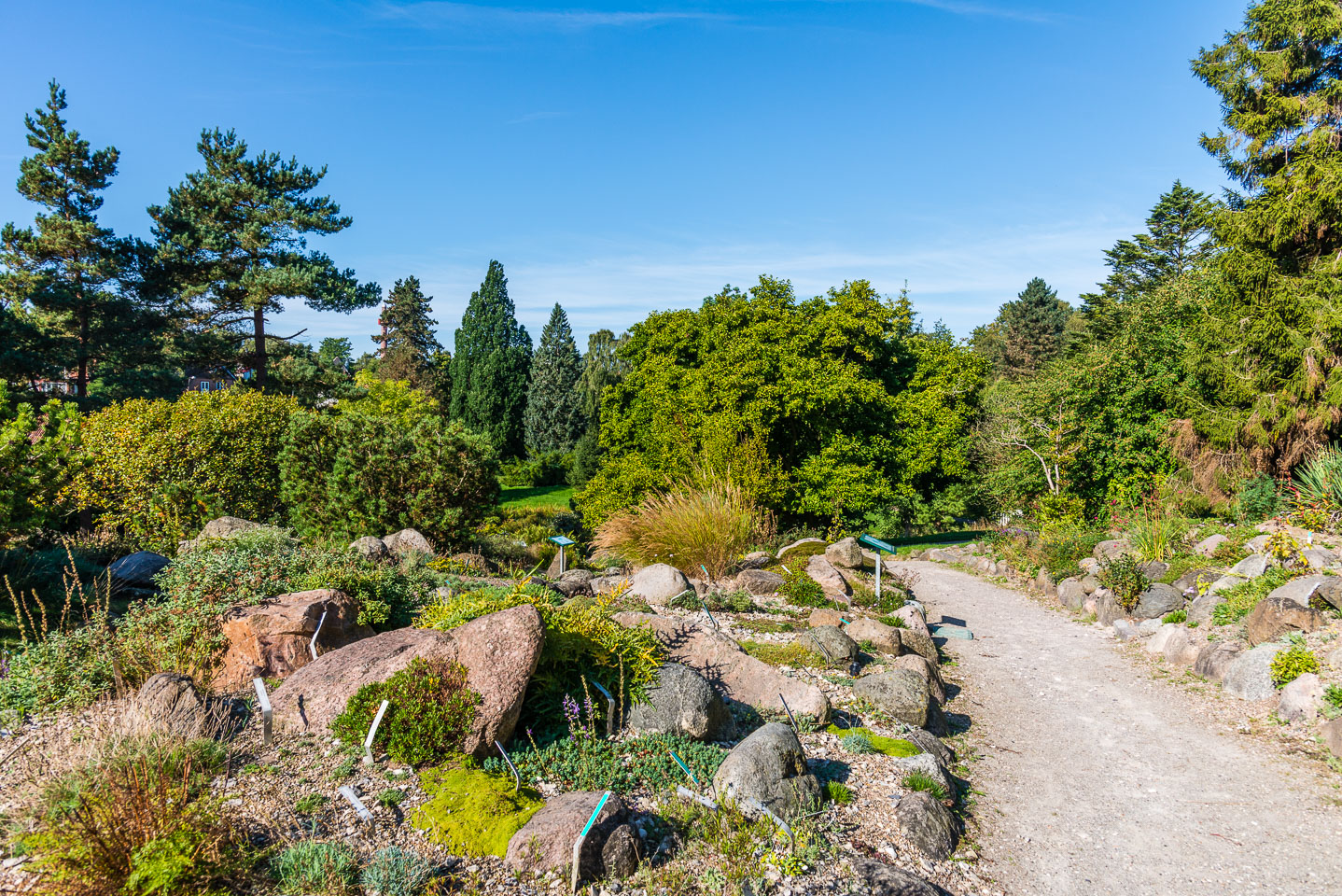 DE160406-The-path-through-the-botanical-garden.jpg