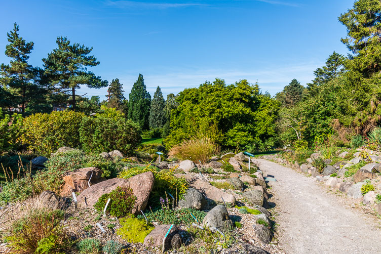 DE160406-The-path-through-the-botanical-garden.jpg