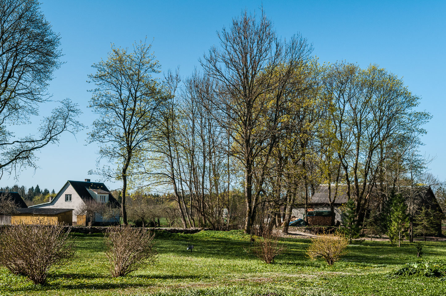 ES090298-Saaremaa-Island---Angla.jpg