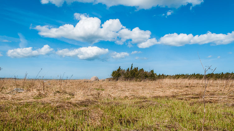 Muhu island - Koguva ES090319-Muhu-island---Koguva.jpg