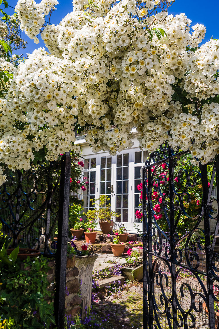 GB150107-E-Dunster-Flower-ornamented-Gate.jpg