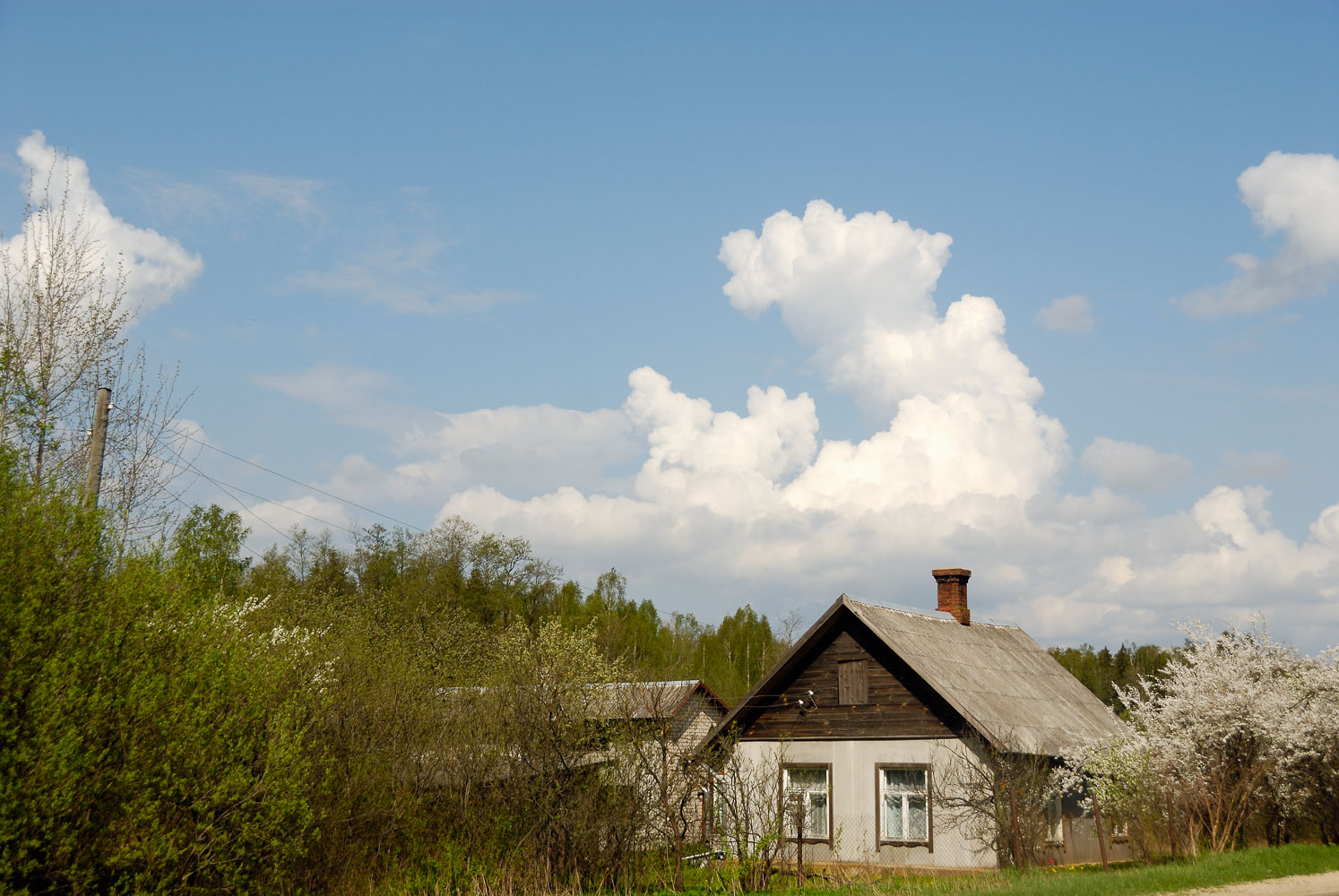 LE080466-Farmland-near-Sigulda.jpg