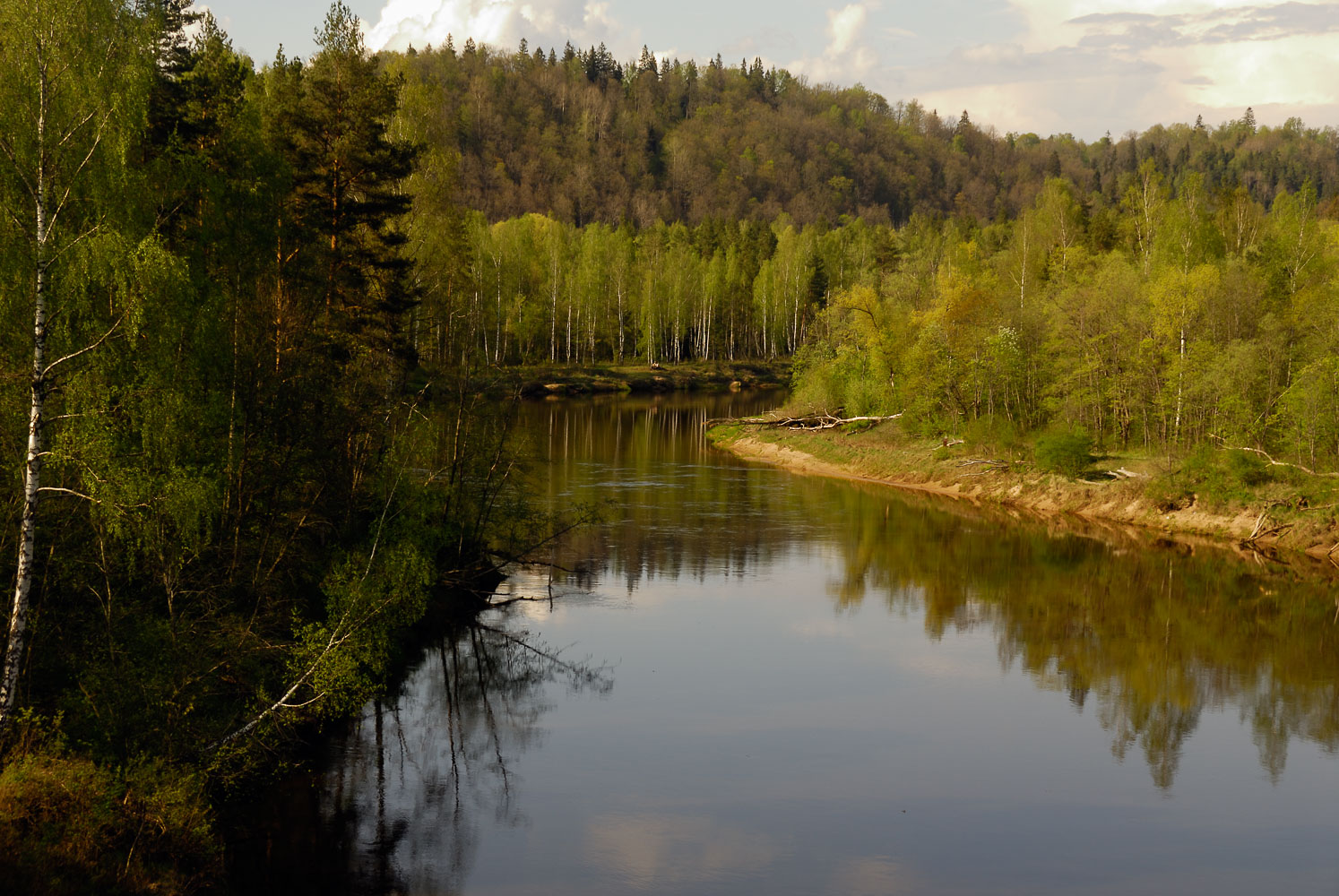 LE080500-Sigulda---Gauja-national-park.jpg