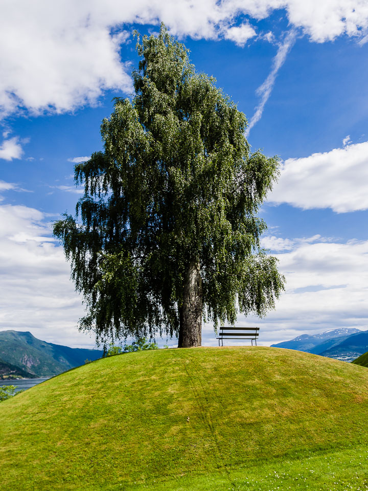 NO140211E-Balestrand-Hill-with-tree-and-bench.jpg