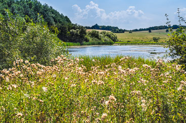 SL15254-Edit-Cerovo-countryside.jpg