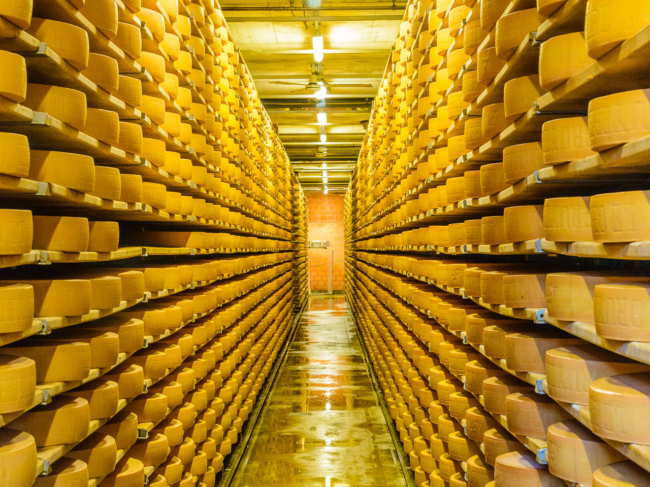 _D8C5728-Gruyeres-cheese-cellar.jpg
