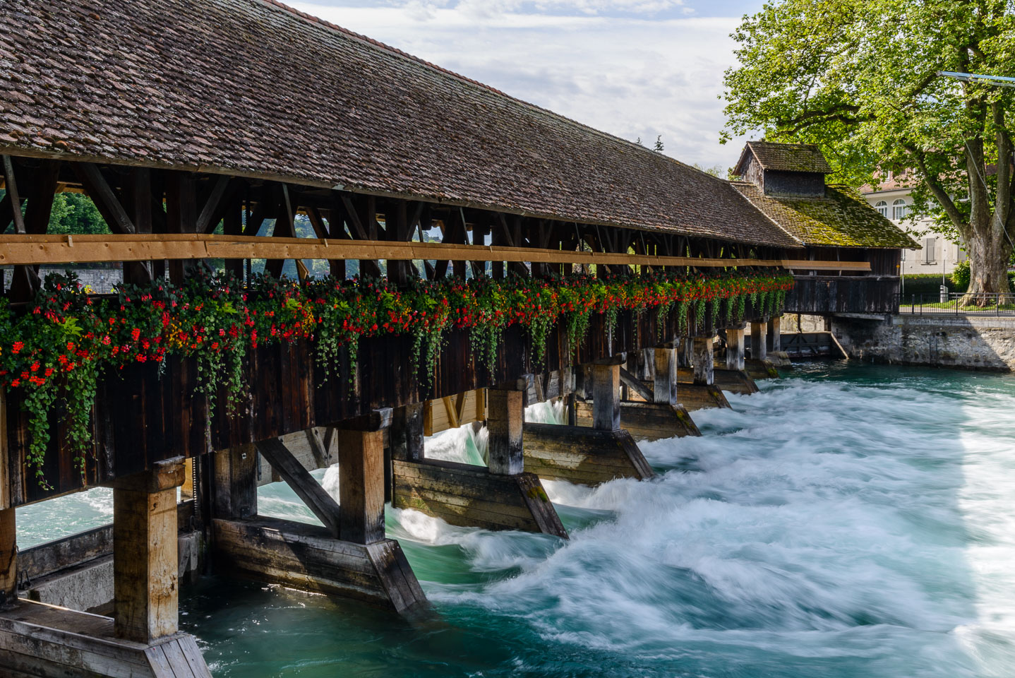 _D8C6066-The-Thun-locks-between-tye-lake-and-the-river.jpg