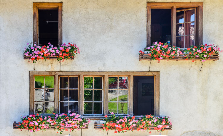 _D8C5846-Gruyeres-Windows-with-flowers.jpg