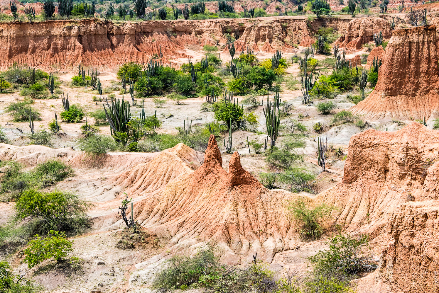 CO150368E-Tatacoa-desert-valley.jpg