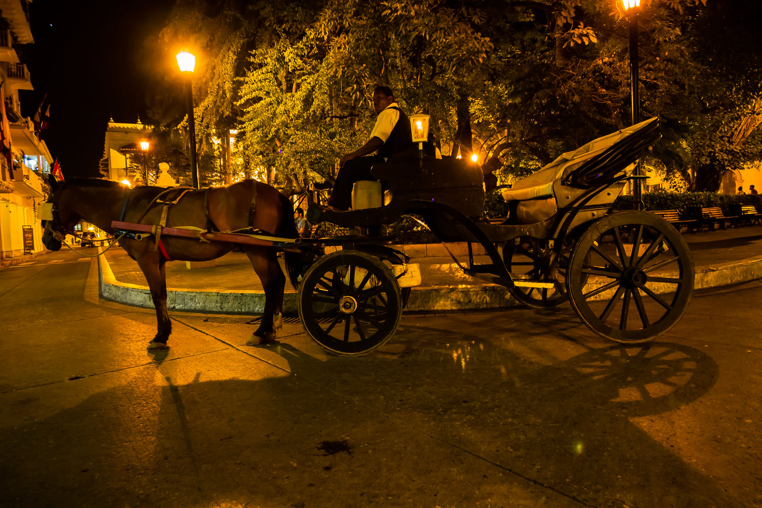 CO151577E-Cartagena-waiting-horse-carriage.jpg