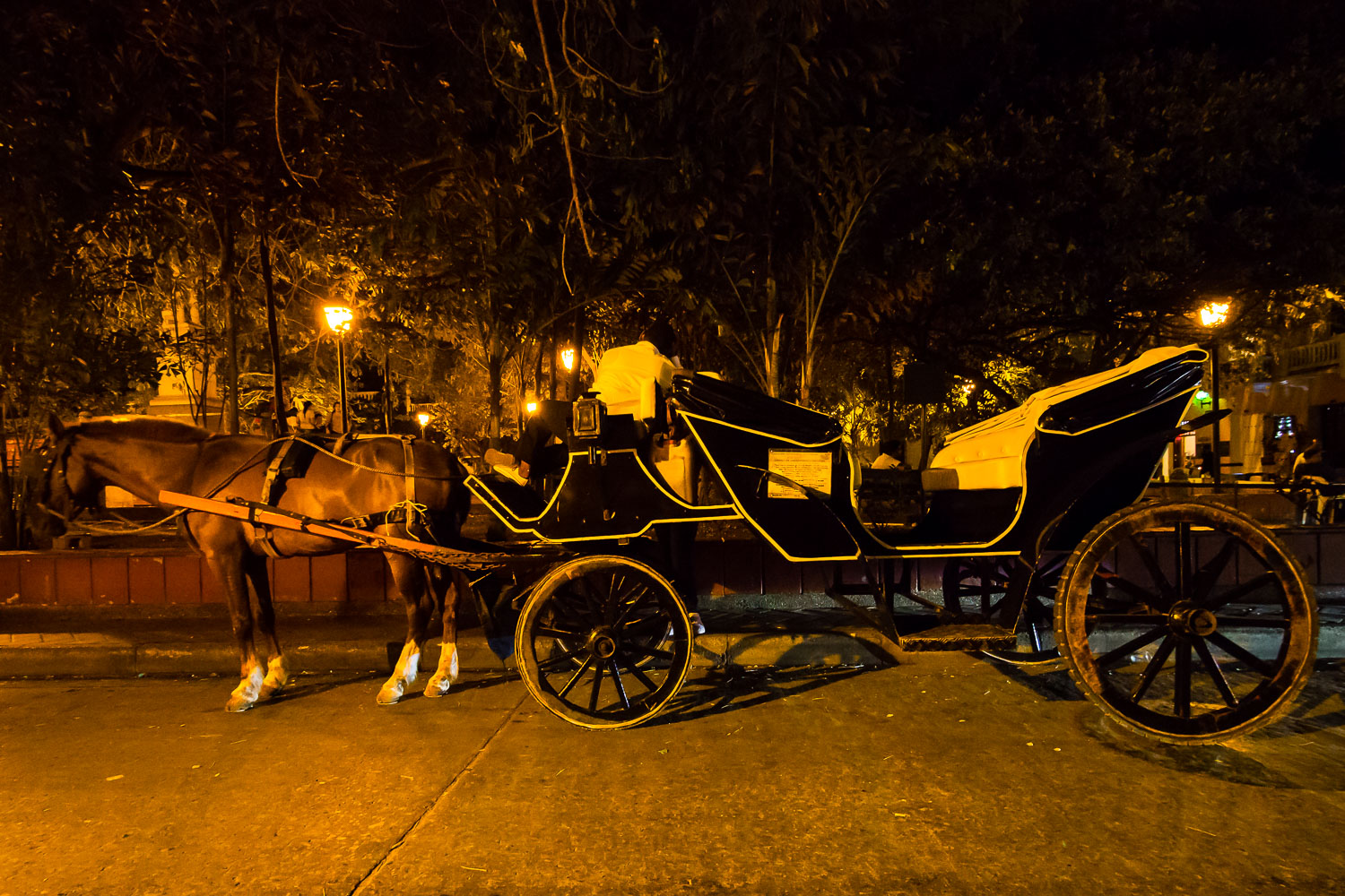 CO151582E-Cartagena-waiting-horse-carriage.jpg