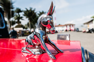 CO150707E-Cocora-valley-ornament-on-a-willy-jeep.jpg CO150707E-Cocora-valley-ornament-on-a-willy-jeep.jpg