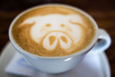 CO150742E-Salento-coffee.jpg CO150742E-Salento-coffee.jpg