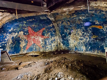 CO150846E-Cocora-valley-the-disco-of-Caros-Lehder.jpg CO150846E-Cocora-valley-the-disco-of-Caros-Lehder.jpg