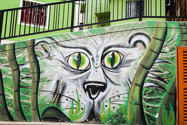 CO151120E-Medellin-Comuna-13-grafitti.jpg