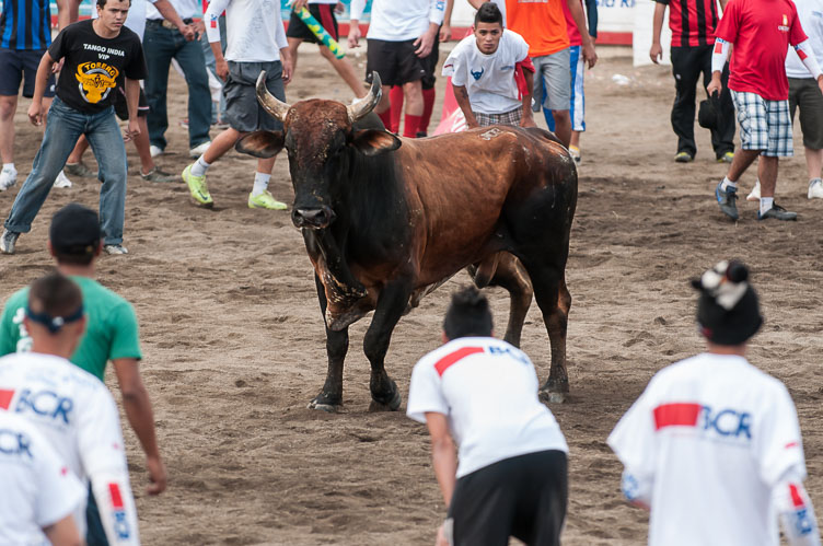 CR120103-Edit-Rodeo-at-Las-Fiestas-de-Zapote-in-San-Jose.jpg