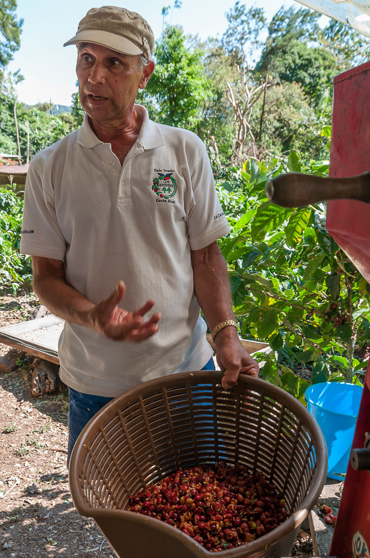 Monteverde region coffee farmer CR120670-Edit-Monteverde-region-coffee-farmer.jpg