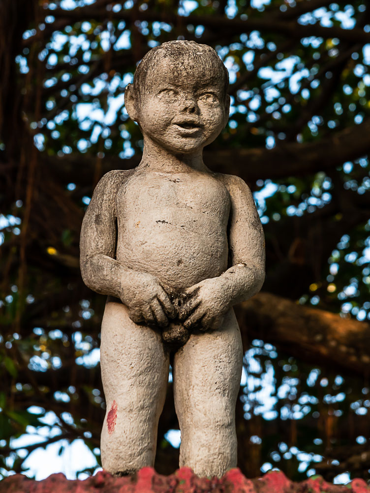 Ometepe-Foreign influence in Moyogalpa NI120273-Edit-Ometepe-Foreign-influence-in-Moyogalpa.jpg