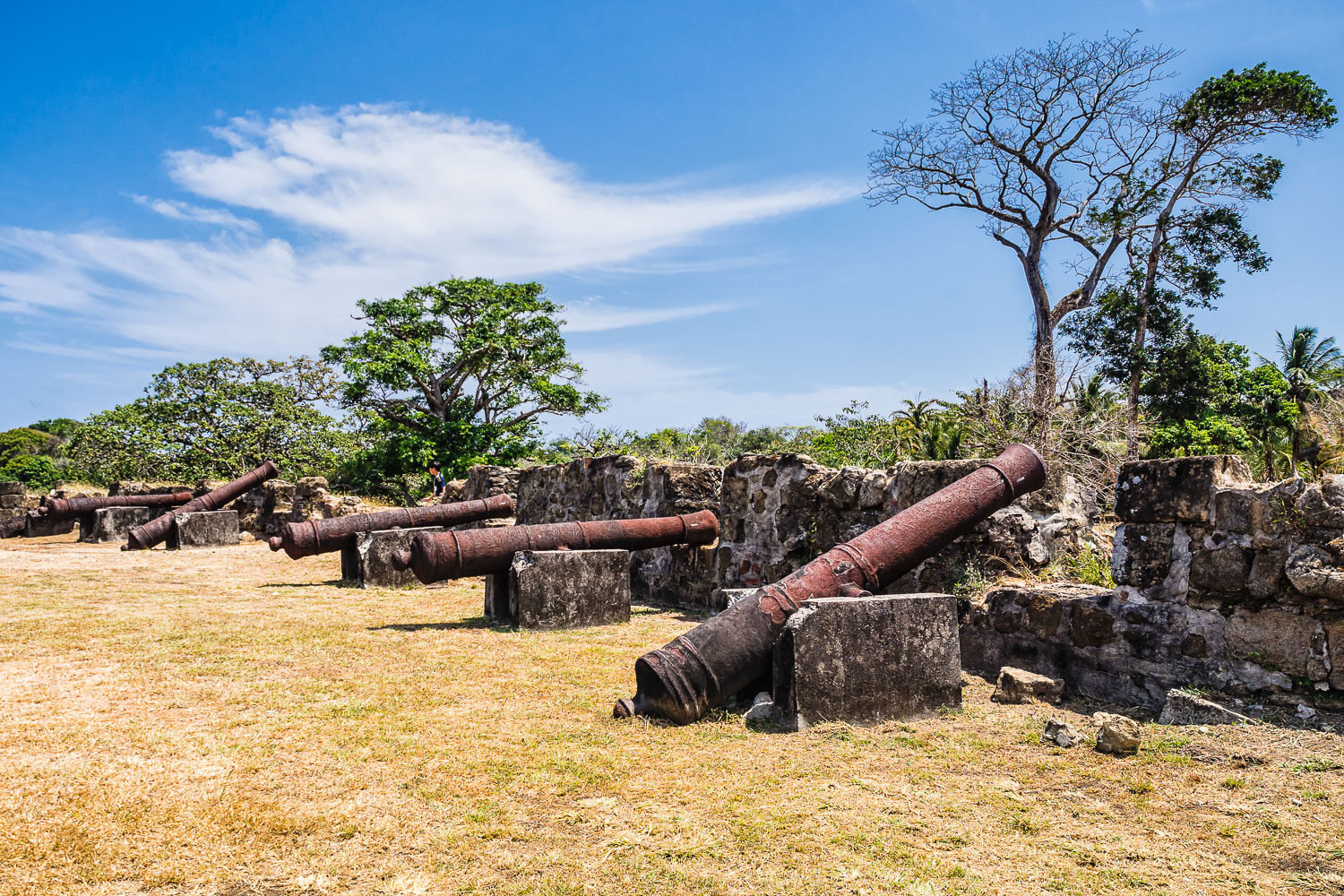 PA150499E-Fort-San-Lorenzo-battery.jpg