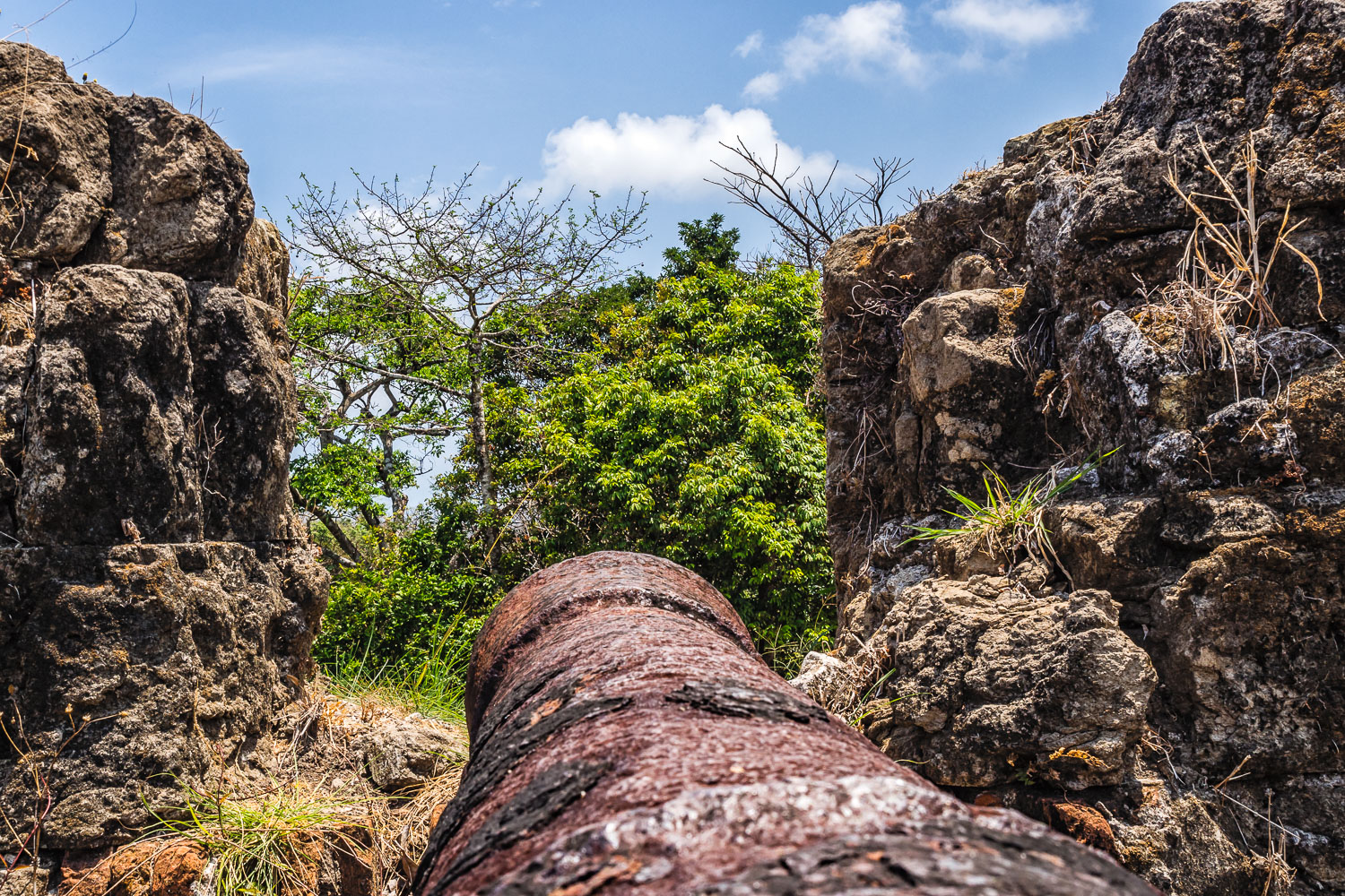 PA150520E-Fort-San-Lorenzo-landside-battery.jpg