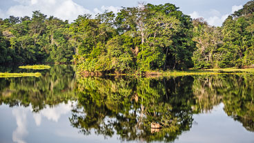 PA150442E-Lake-Gatun-viewed-from-the-train_v1.jpg