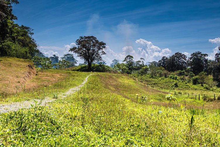 Bocas del Toro-the inlands PA150214E-Bocas-del-Toro-the-inlands.jpg