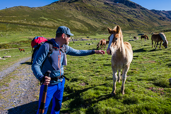 Pyrénées-Orientales – hiken in Cerdagne en Capcir